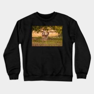 Fallow deer in autumn Crewneck Sweatshirt